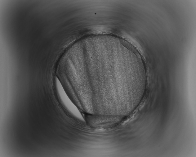 X0000093370105200711081533