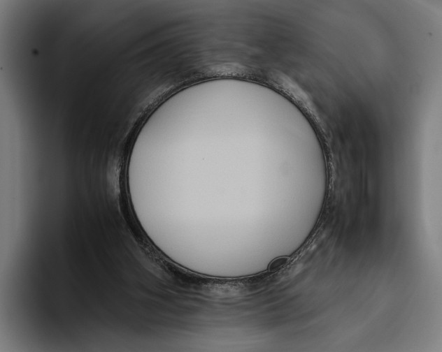 X0000093370106200711081533