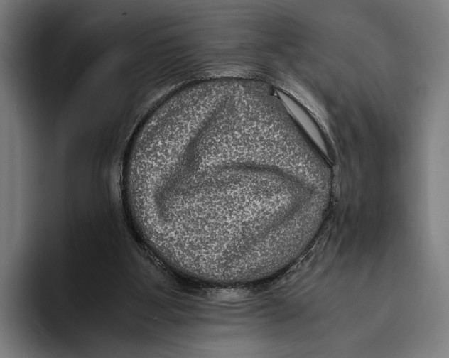 X0000093370107200711081533