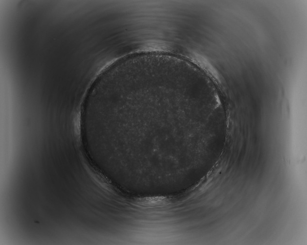 X0000093370108200711081533