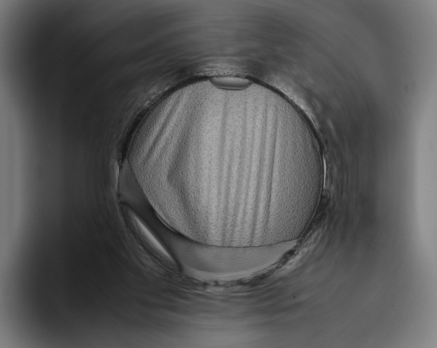 X0000093370109200711081533