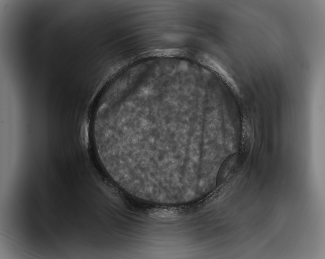X0000093370110200711081533