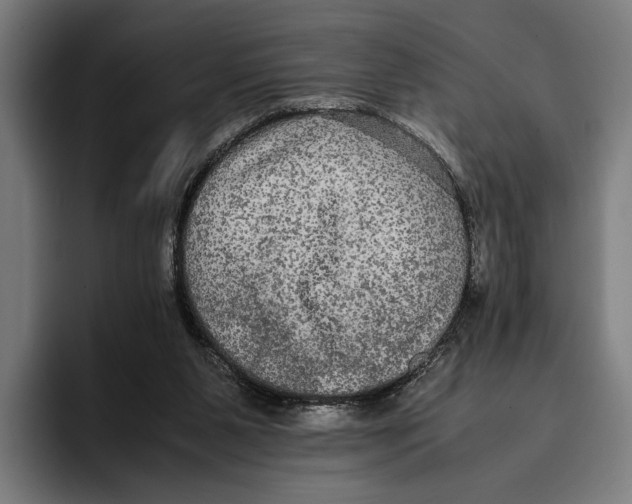 X0000093370111200711081533