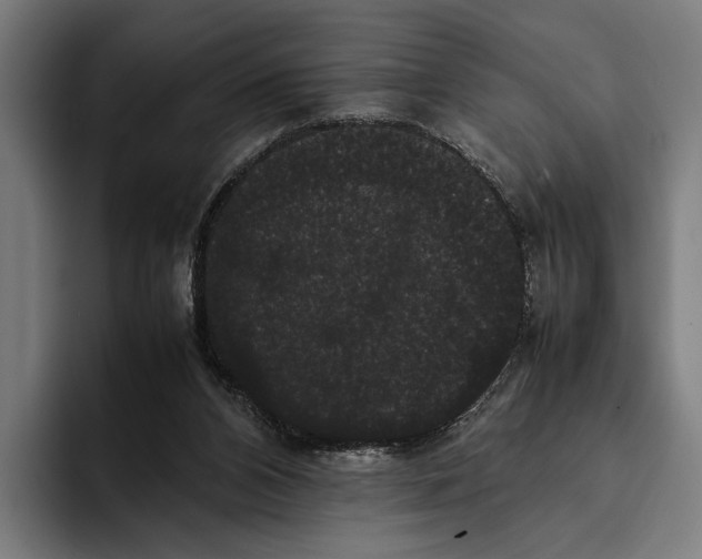 X0000093370112200711081533