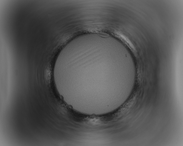 X0000093370113200711081533