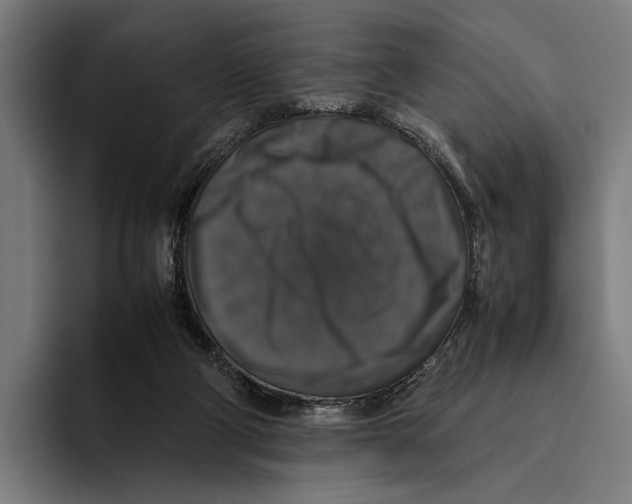 X0000093370114200711081533