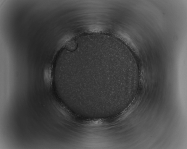 X0000093370116200711081532