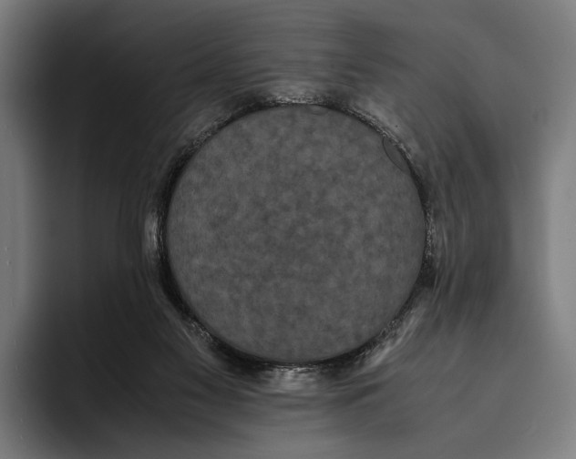 X0000093370117200711081532