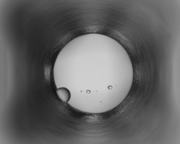 X0000093370118200711081532