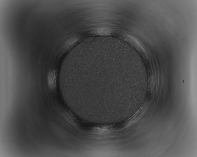 X0000093370120200711081532