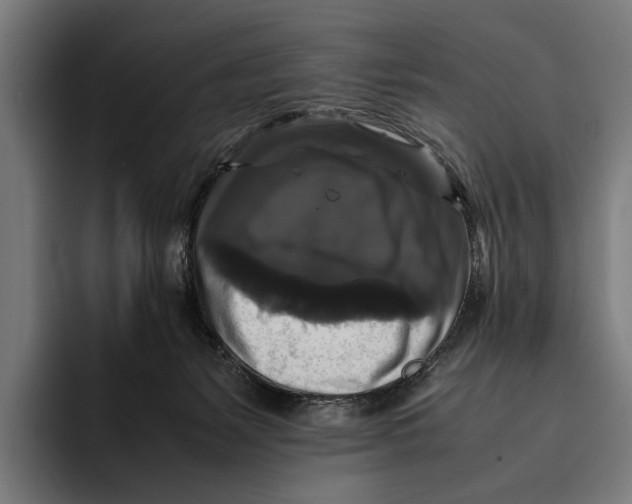 X0000093370127200711081532