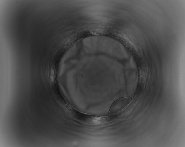 X0000093370130200711081532