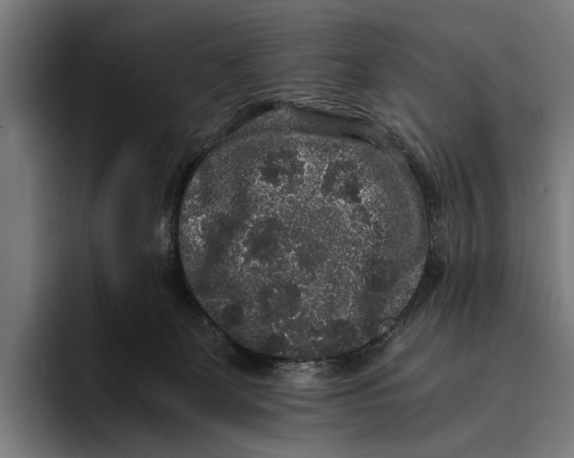 X0000093370131200711081532