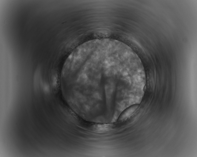 X0000093370134200711081532