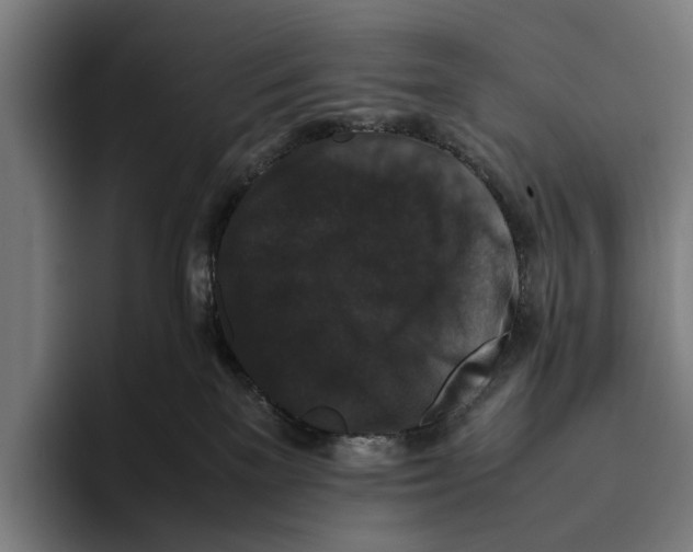 X0000093370137200711081532
