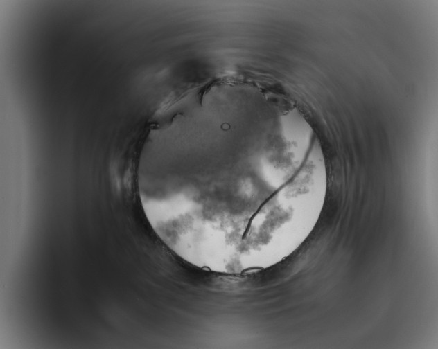 X0000093370139200711081532