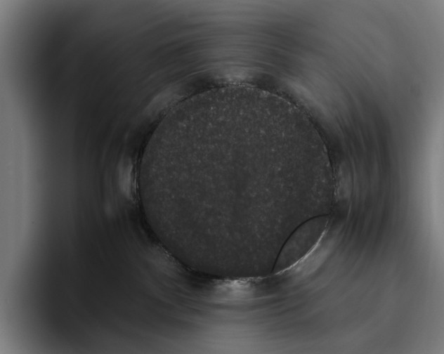 X0000093370140200711081532