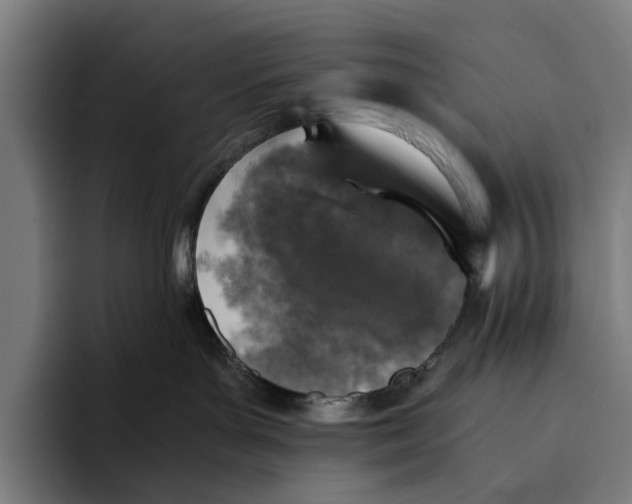 X0000093370143200711081532