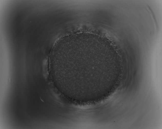 X0000093370144200711081532