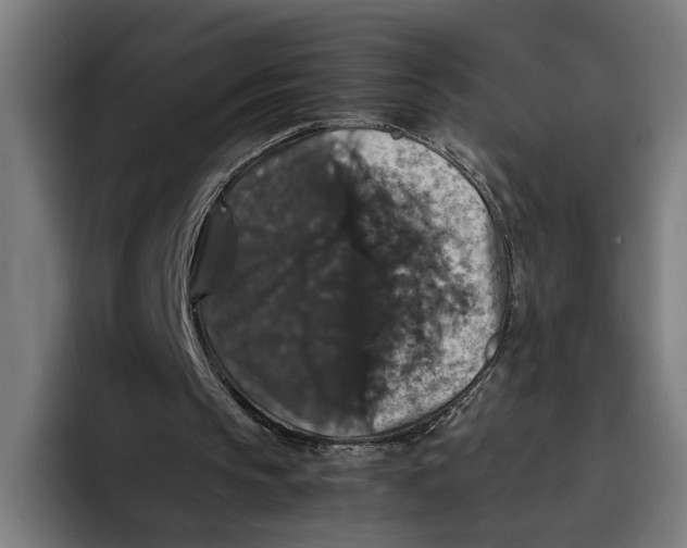 X0000093370145200711081531