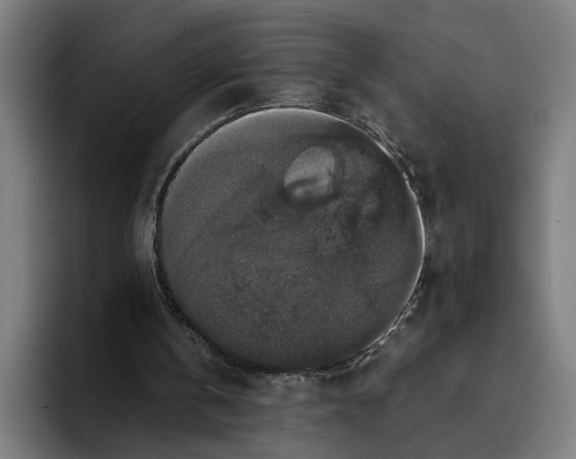 X0000093370146200711081531