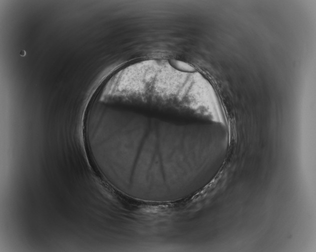 X0000093370147200711081532