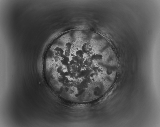 X0000093370149200711081532