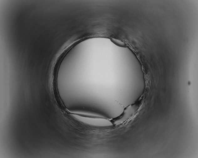 X0000093370150200711081532