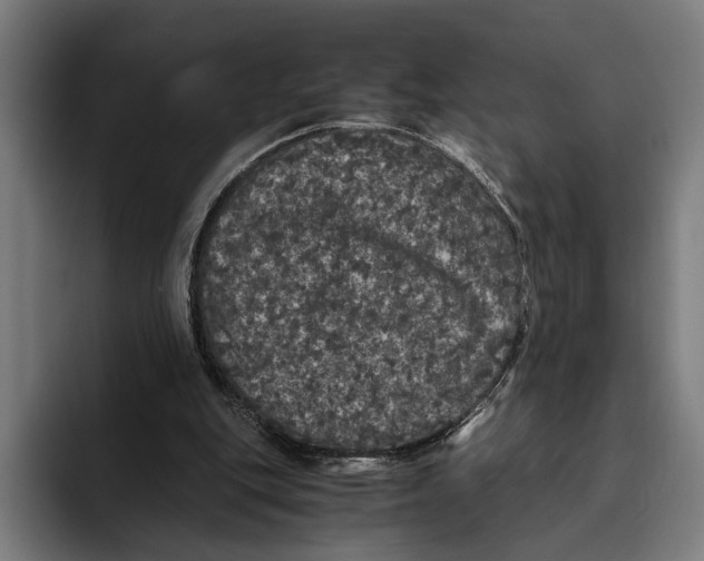 X0000093370151200711081532