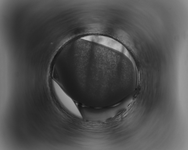 X0000093370156200711081532