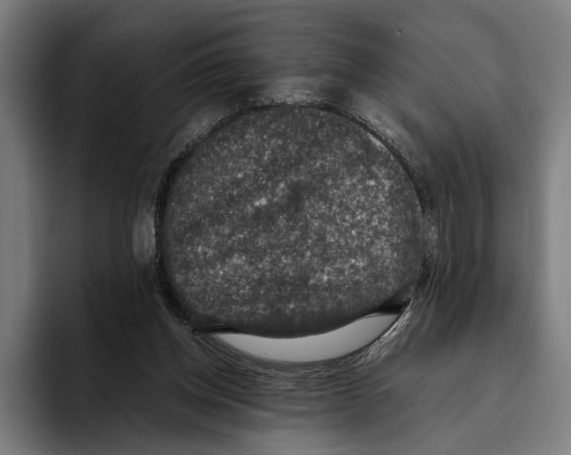 X0000093370158200711081532
