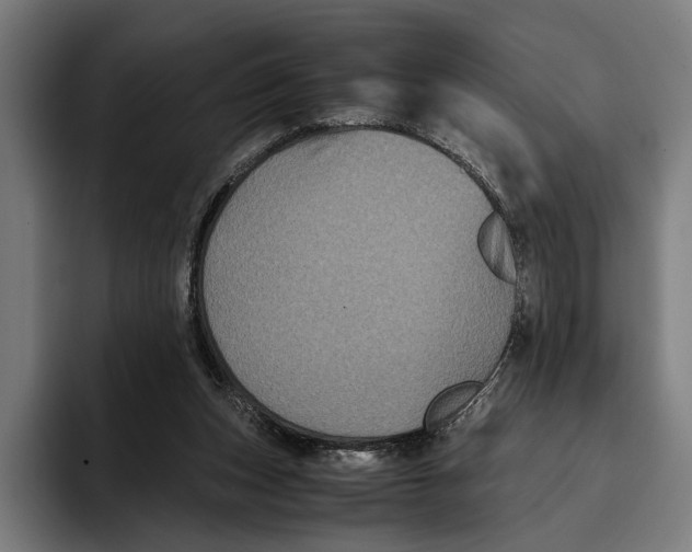 X0000093370159200711081532