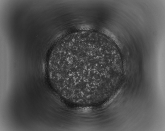 X0000093370161200711081532