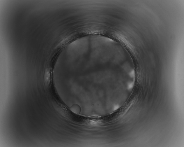 X0000093370165200711081532