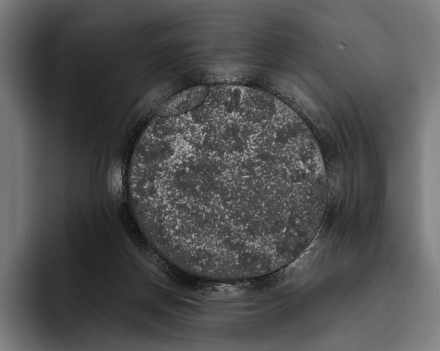X0000093370166200711081532