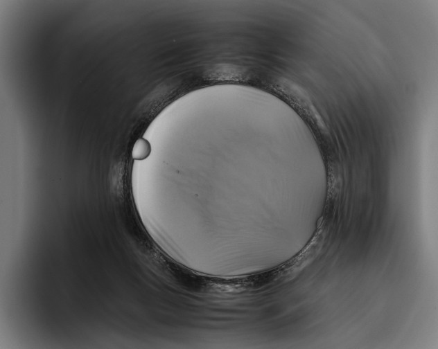 X0000093370167200711081532
