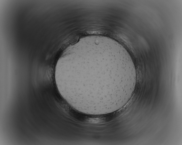 X0000093370171200711081532