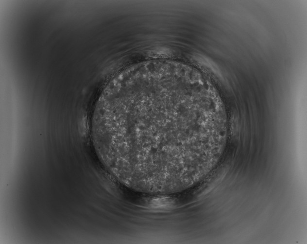 X0000093370173200711081532