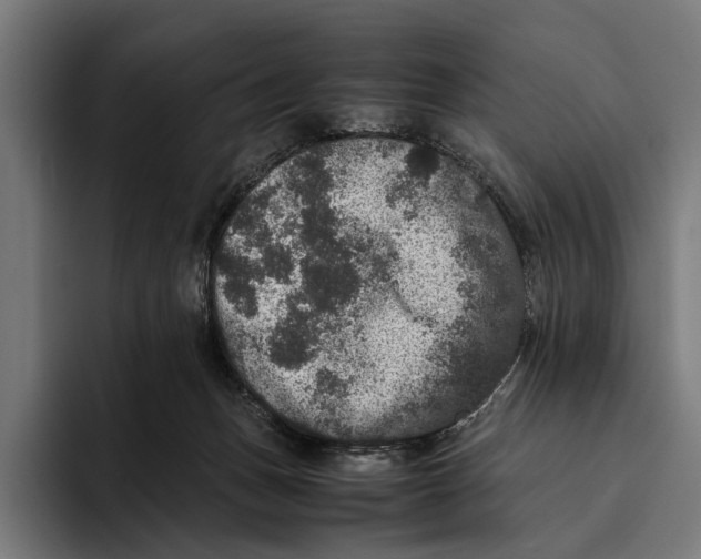 X0000093370175200711081532