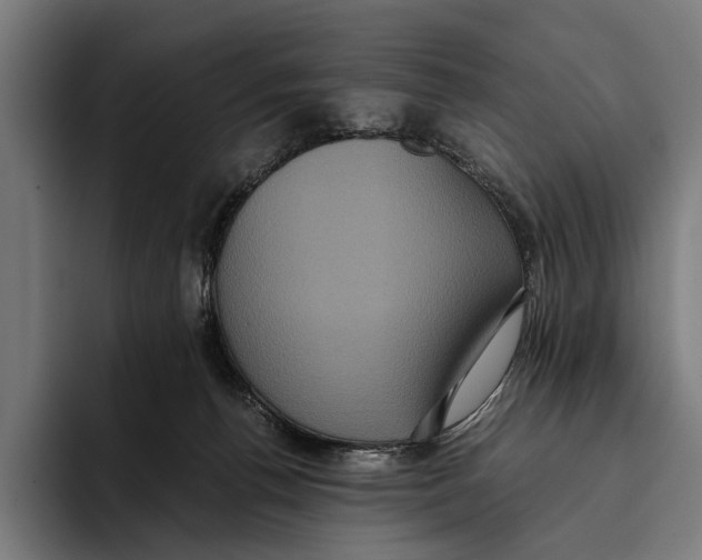 X0000093370176200711081532
