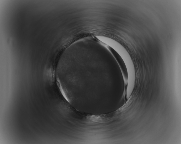 X0000093370180200711081532