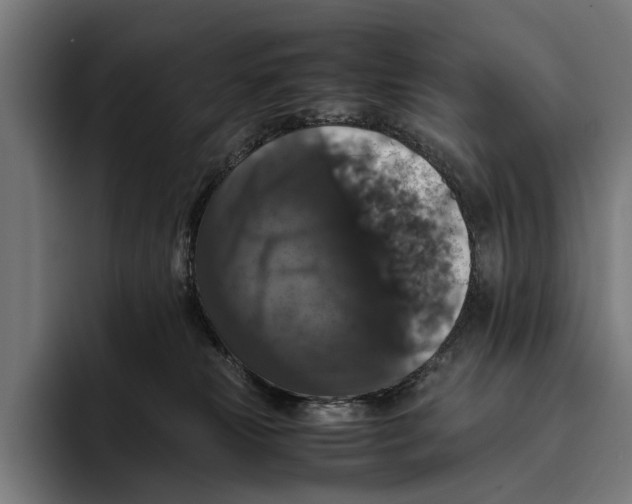 X0000093370181200711081532
