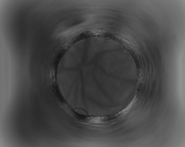 X0000093370182200711081532