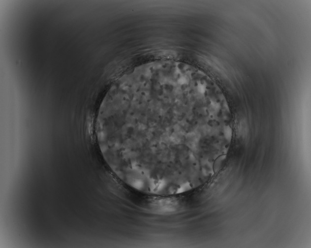 X0000093370185200711081532