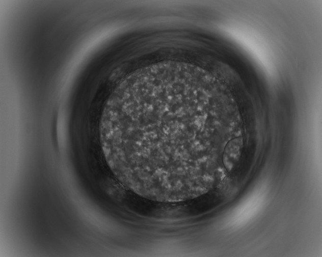 X0000093370189200711081532
