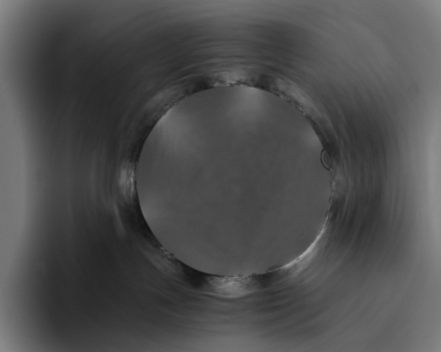 X0000093370191200711081532