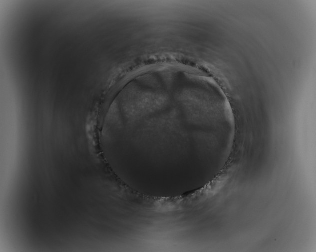 X0000093370192200711081532