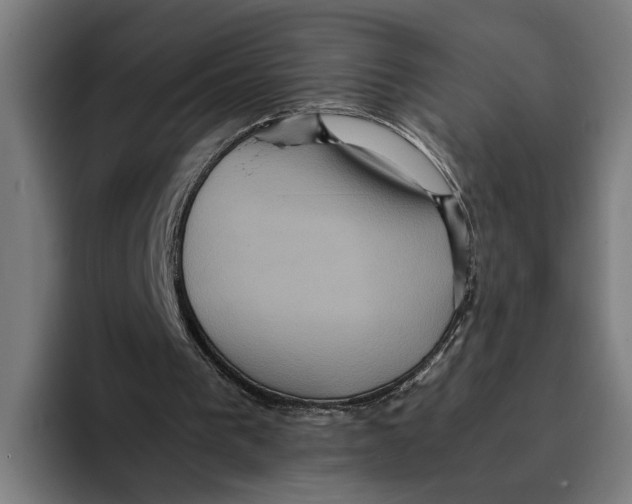 X0000093370193200711081531