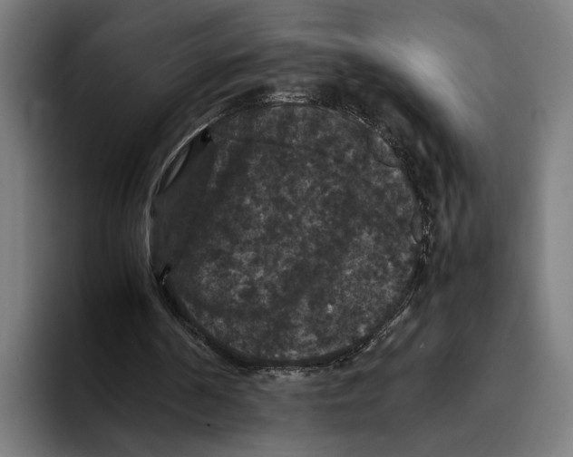 X0000093370194200711081531