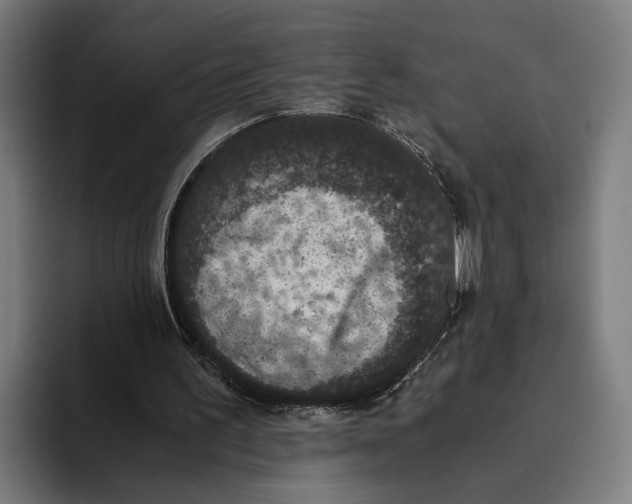 X0000093370195200711081531